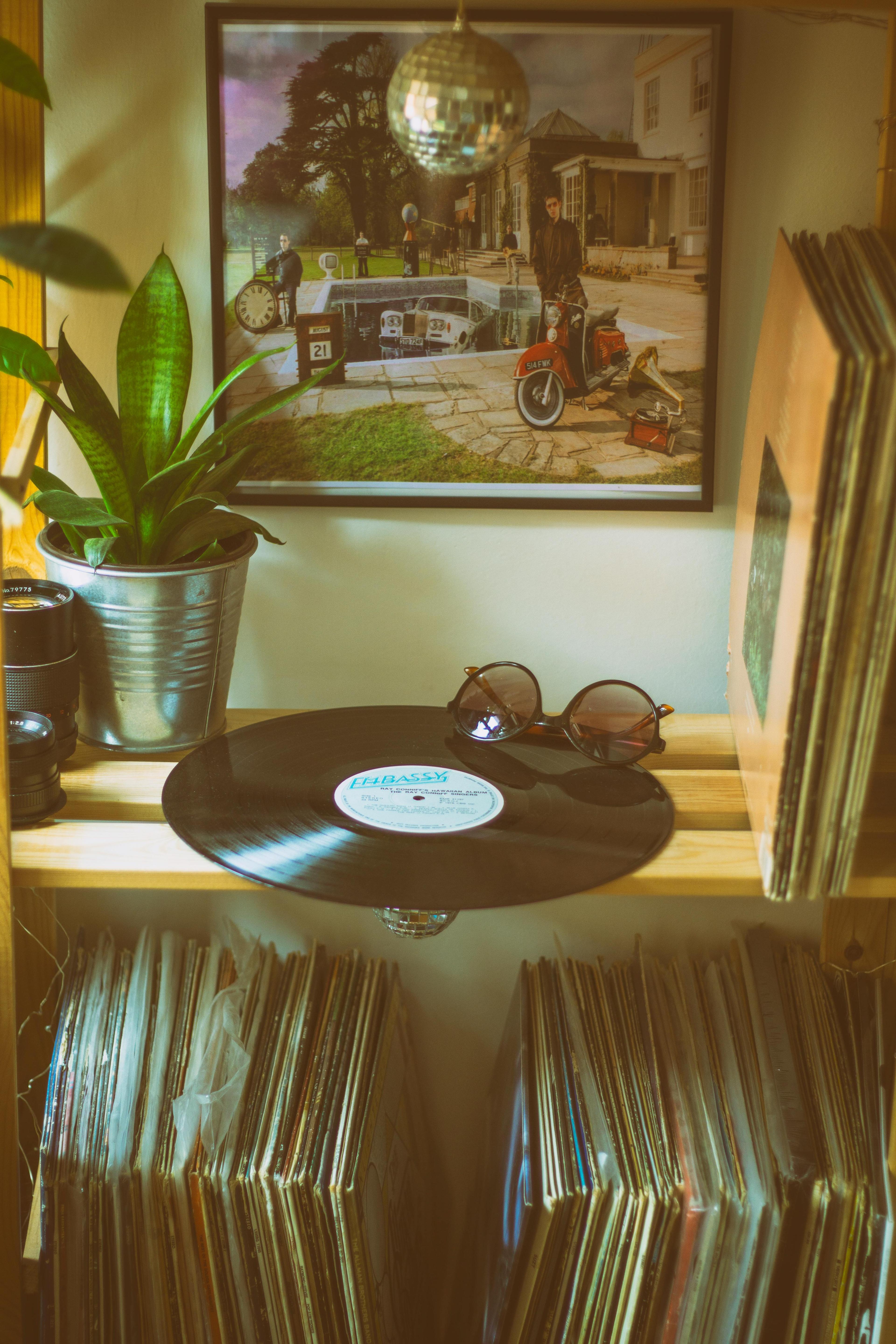 Close-up of a vinyl record on a wooden shelf with sunglasses and plant in a cozy home interior.