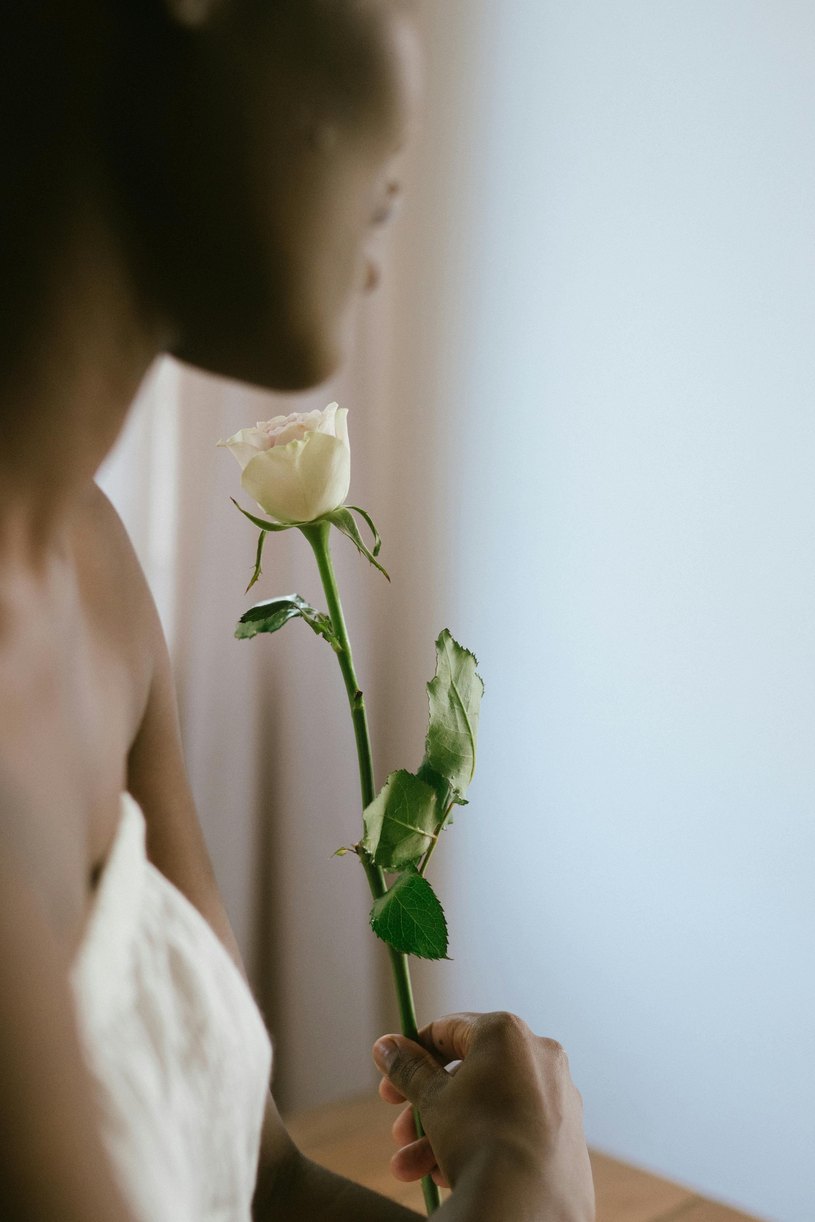 A serene moment of a woman holding a white rose, symbolizing elegance and romance.