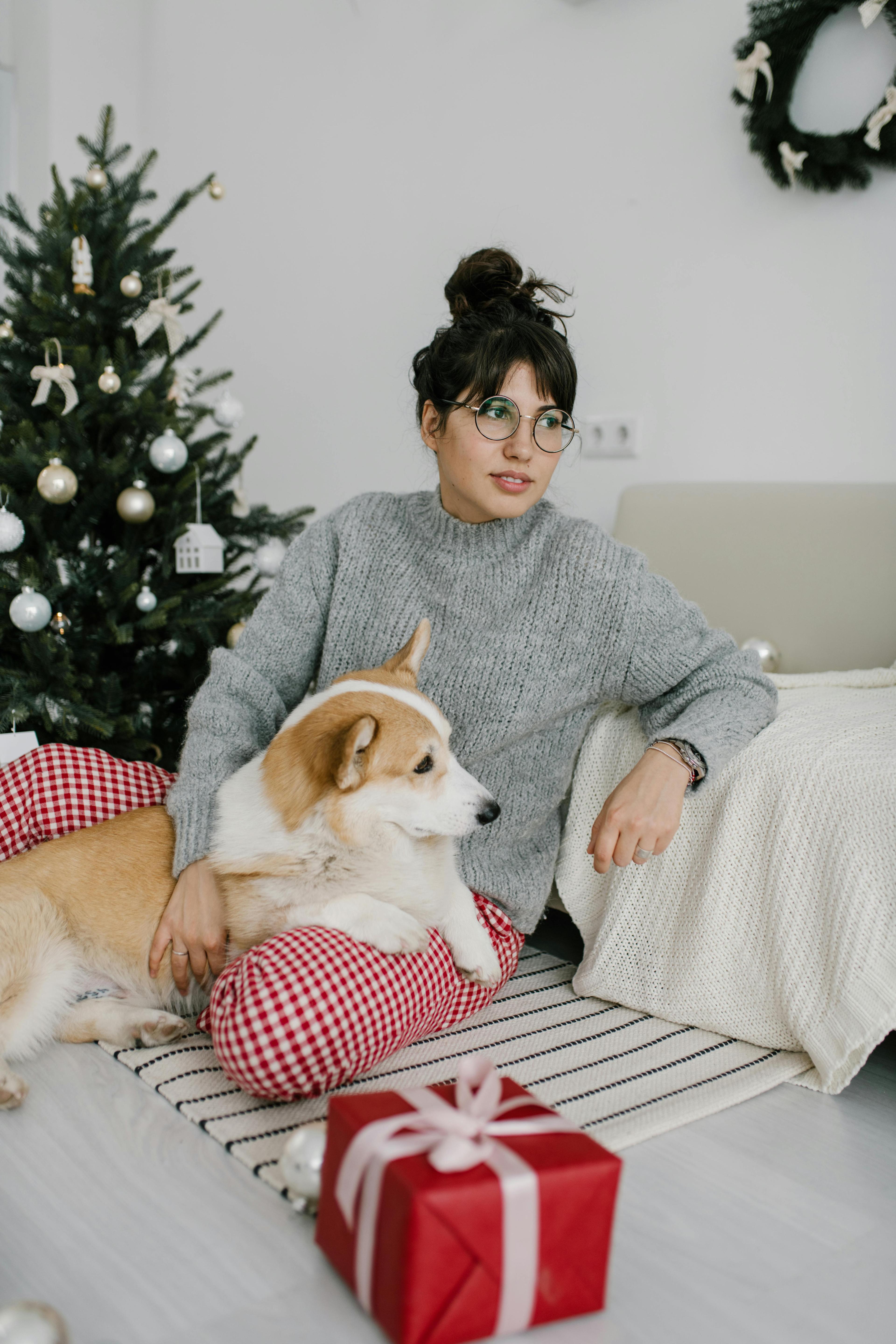 Woman sitting with Pembroke Welsh Corgi by a Christmas tree, holiday setting.