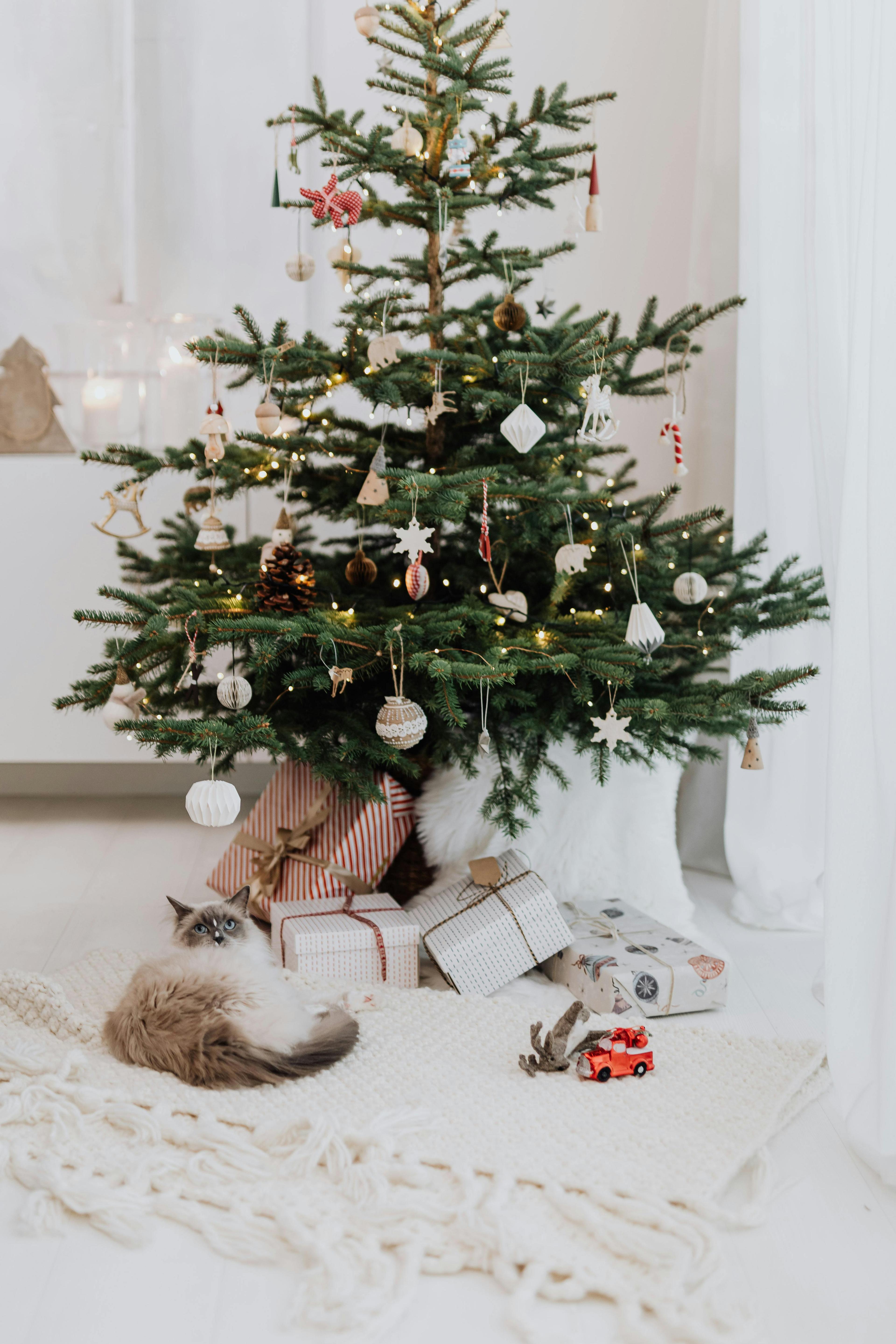 A festive Christmas tree with a cat and gifts in a warm indoor setting.
