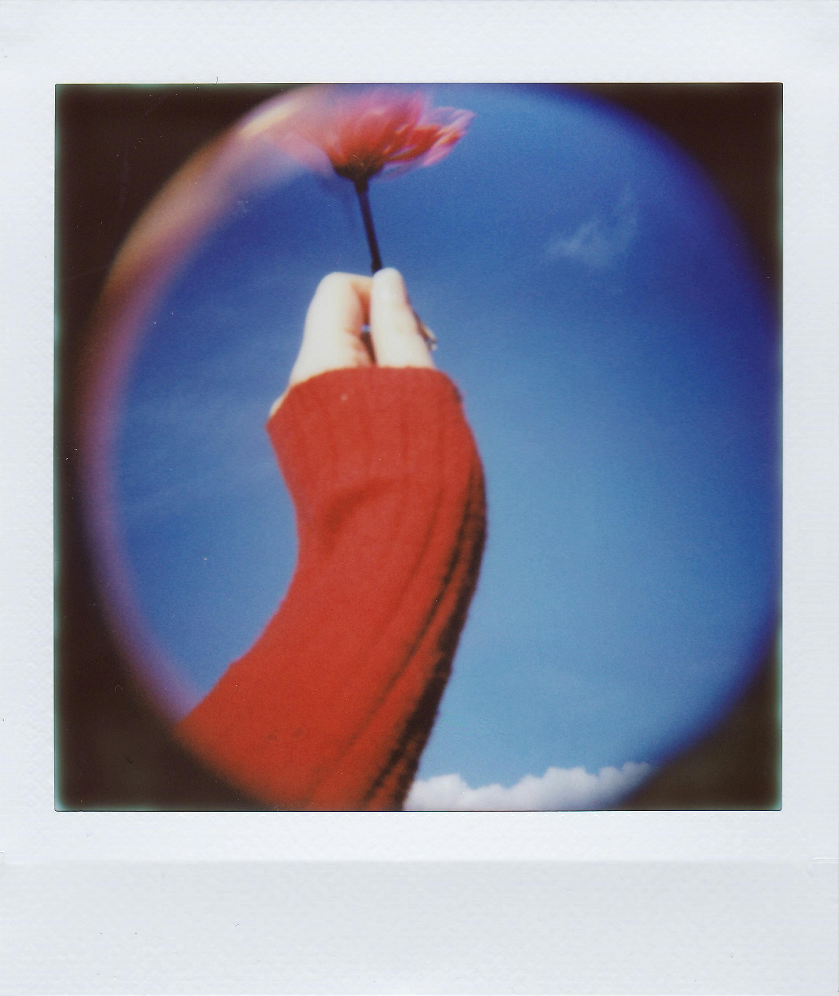 Polaroid Fish Eye Picture of Woman Holding a Flower 