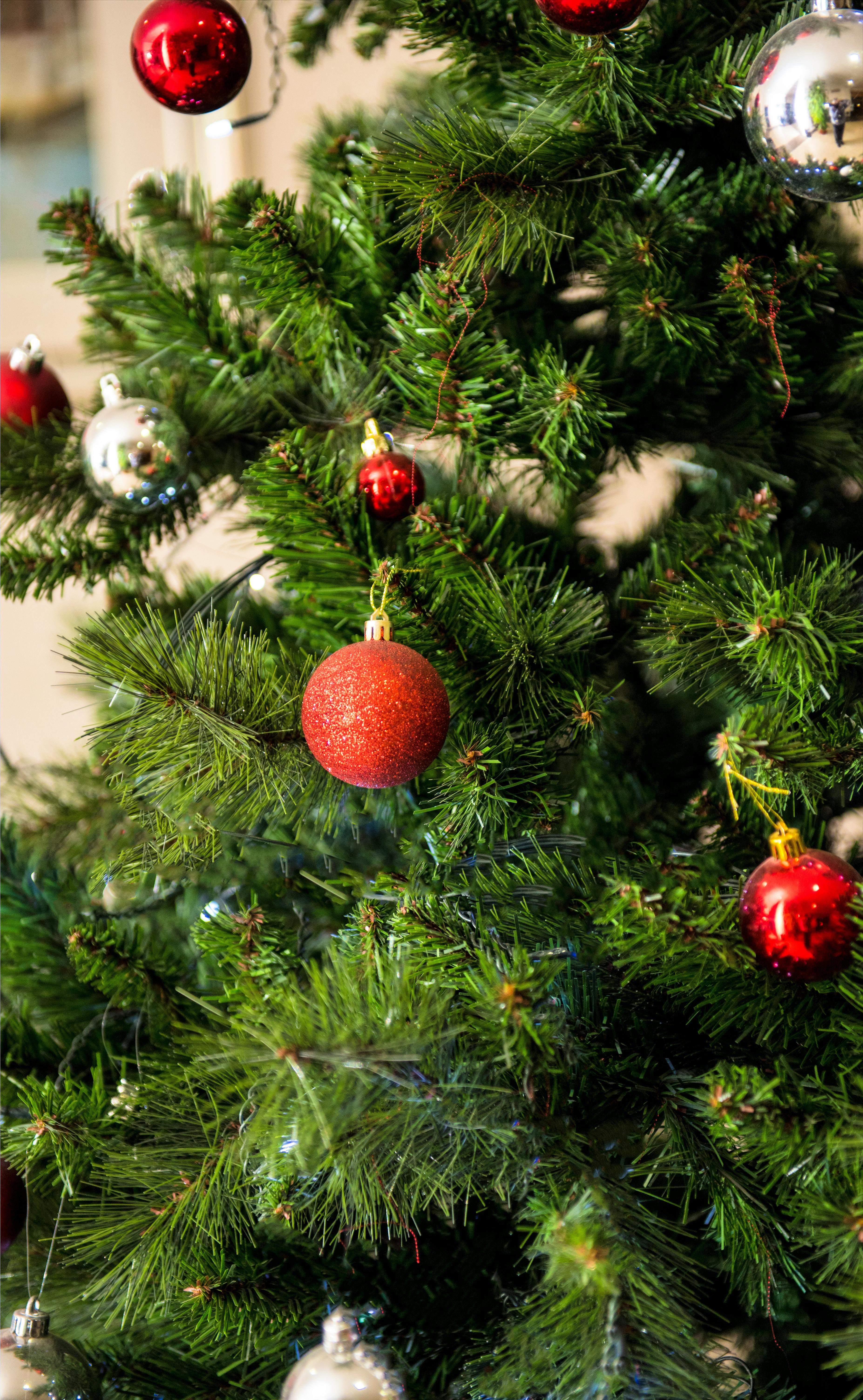 Close-up of a Christmas tree adorned with red and silver ornaments, capturing the holiday spirit.